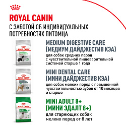 Royal Canin (Роял Канин) Мини Эдалт Корм сухой для собак мелких размеров от 10 месяцев, 2 кг
