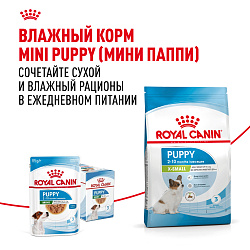 Royal Canin (Роял Канин) Икс-смол Паппи Корм сухой для щенков очень мелких размеров 3 кг