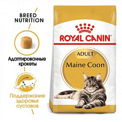 Royal Canin (Роял Канин) Maine Coon Adult Корм сухой сбалансированный для взрослых кошек породы Мэйн Кун, 10 кг