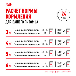 Royal Canin (Роял Канин) Инстинктив +7 корм влажный для стареющих кошек от 7 лет в соусе 85 г 