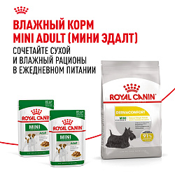 Royal Canin (Роял Канин) Мини Дермакомфорт Корм сухой для собак мелких пород при раздражениях 1 кг