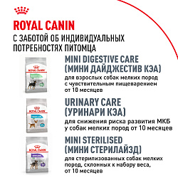 Royal Canin (Роял Канин) Корм сухой для взрослых собак породы чихуахуа 500 г