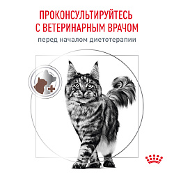Royal Canin (Роял Канин) Gastrointestinal (Гастроинтестинал) Корм сухой для взрослых кошек 2 кг