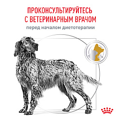 Royal Canin (Роял Канин) Уринари С/О Канин Корм сухой при мочекаменной болезни 2 кг