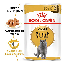 Royal Canin (Роял Канин) Корм консервированный для взрослых британских кошек, соус, 85г