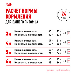 Royal Canin (Роял Канин) Лайт Вейт Кэа корм влажный для кошек с избыточным весом соус для кошек 85 г