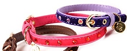 FOR MY DOG Ошейник фиолетовый 1,0*30 см FMDN13040-15