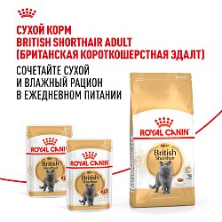 Royal Canin (Роял Канин) корм влажный для кошек породы Британская Короткошерстная пауч 85 г 