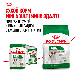 Royal Canin (Роял Канин) Мини Эдалт корм влажный для мелких собак от 10 месяцев в соусе 85 гр