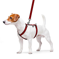 Шлея WAUDOG Nylon с QR-паспортом "Шотландка красная", пл. фастекс, L, Ш 25 мм, А 50-90 В 60-100 5512