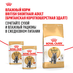 Royal Canin (Роял Канин) British Shorthair Adult Корм сухой для британских кошек, 2 кг