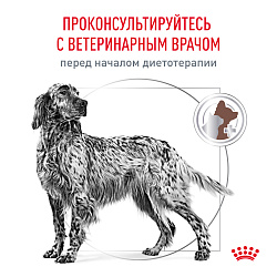 Royal Canin (Роял Канин) Гастроинтестинал Лоу Фэт Канин Корм сухой при нарушениях пищеварения 1,5 кг