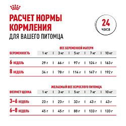 Royal Canin (Роял Канин) Мини Стартер Корм сухой для щенков мелких пород до 2-х месяцев 3 кг
