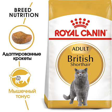 Royal Canin (Роял Канин) British Shorthair Британская Короткошерстная сухой корм для кошек (разв.)