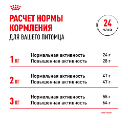 Royal Canin (Роял Канин) Корм сухой для взрослых собак породы чихуахуа 500 г