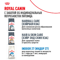 Royal Canin (Роял Канин)Индор Лонг Хэйр Корм сухой для длинношерстных кошек,живущих в помещении 400 