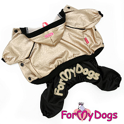 FOR MY DOG Костюм трикотажный черный/золото (16) 404SS-2019