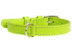 Ошейник Collar Glamour без украшений шир 25мм дл 38-49см зеленый 33045