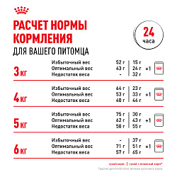 Royal Canin (Роял Канин) Savour Protein Exigent Корм сухой для привередливых взрослых кошек 400 г