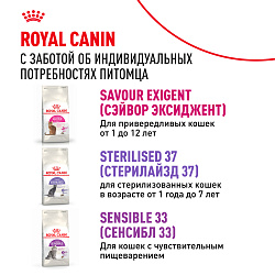 Royal Canin (Роял Канин) Savour Protein Exigent Корм сухой для привередливых взрослых кошек 400 г