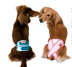 Защитный пояс-штанишки гигиенические д/кобелей LL 2618