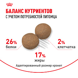 Royal Canin (Роял Канин) Maxi Adult Корм сухой для взрослых собак крупных размеров 3 кг