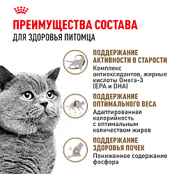 Royal Canin (Роял Канин) Эйджинг Стерилайзд +12 для пожилых стерилизованных кошек от 12 лет 2 кг