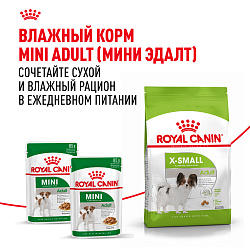 Royal Canin (Роял Канин) Икс-смол Эдалт Корм сухой для взрослых собак очень мелких размеров 3 кг