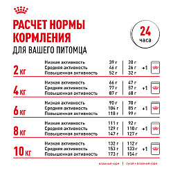 Royal Canin (Роял Канин) Мини Дермакомфорт Корм сухой для собак мелких пород при раздражениях 1 кг