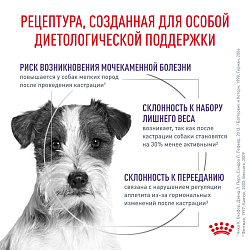 Royal Canin (Роял Канин) Ньютрид Корм сухой для взрослых кастрированных собак мелких пород 3,5 кг