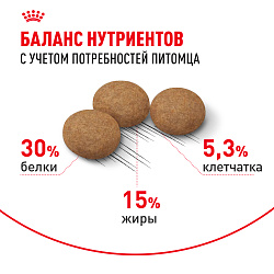 Royal Canin (Роял Канин) Эйджинг Стерилайзд +12 для пожилых стерилизованных кошек от 12 лет 2 кг