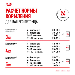 Royal Canin (Роял Канин) Киттен корм сухой для котят породы Сфинкс 400 г