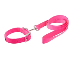 Ошейник+Поводок нейлон розовый "терьер" 25мм*120см NYCU-25M D PINK /12/