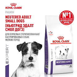 Royal Canin (Роял Канин) Ньютрид Корм сухой для взрослых кастрированных собак мелких пород 3,5 кг