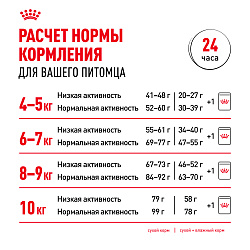 Royal Canin (Роял Канин) Корм сухой для взрослых кошек породы Мэйн Кун 2 кг