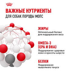 Royal Canin (Роял Канин) Корм сухой для взрослых собак породы Мопс 500 г