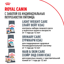 Royal Canin (Роял Канин) Корм сухой для взрослых кошек породы Мэйн Кун 400 г