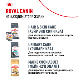 Royal Canin (Роял Канин) Киттен корм сухой для котят породы Мэйн кун 400 г