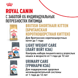 Royal Canin (Роял Канин) корм влажный для кошек породы Британская Короткошерстная пауч 85 г 