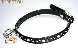 Ошейник "Ch.Crested" черный  1.0*21см