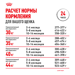Royal Canin (Роял Канин) Макси Паппи Корм сухой для щенков крупных размеров до 15 месяцев 3 кг