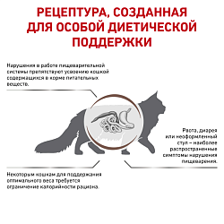 Royal Canin (Роял Канин) Гастро интестинал Модерат Калор Фелин 2 кг