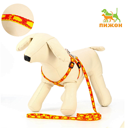 Комплект "Большая лапа", ширина 1 см, поводок  120 см, шлейка 25-36 см, оранжево-жёлтый   7345258