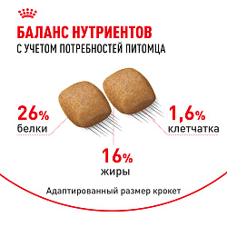 Royal Canin (Роял Канин) Корм сухой для взрослых собак породы померанский шпиц 1,5 кг