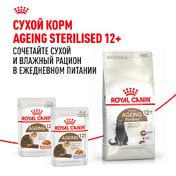 Royal Canin (Роял Канин) Эйджинг 12+ корм влажный для стареющих кошек от 12 лет в соусе 85 г