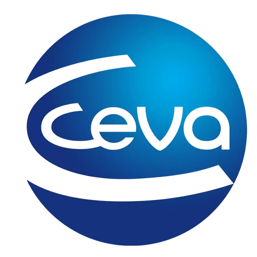 Сева