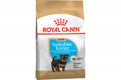 Royal Canin (Роял Канин) сухой корм для щенков породы йоркширский терьер  0,5 кг